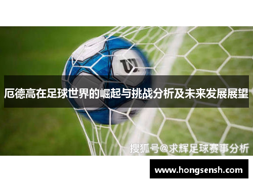 厄德高在足球世界的崛起与挑战分析及未来发展展望