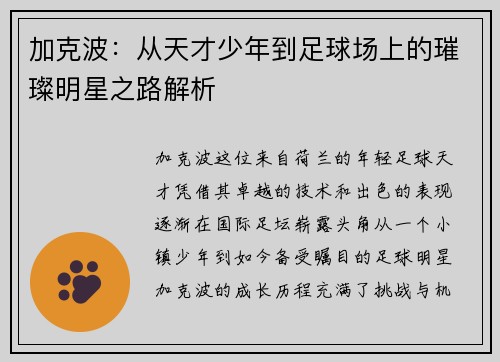 加克波：从天才少年到足球场上的璀璨明星之路解析